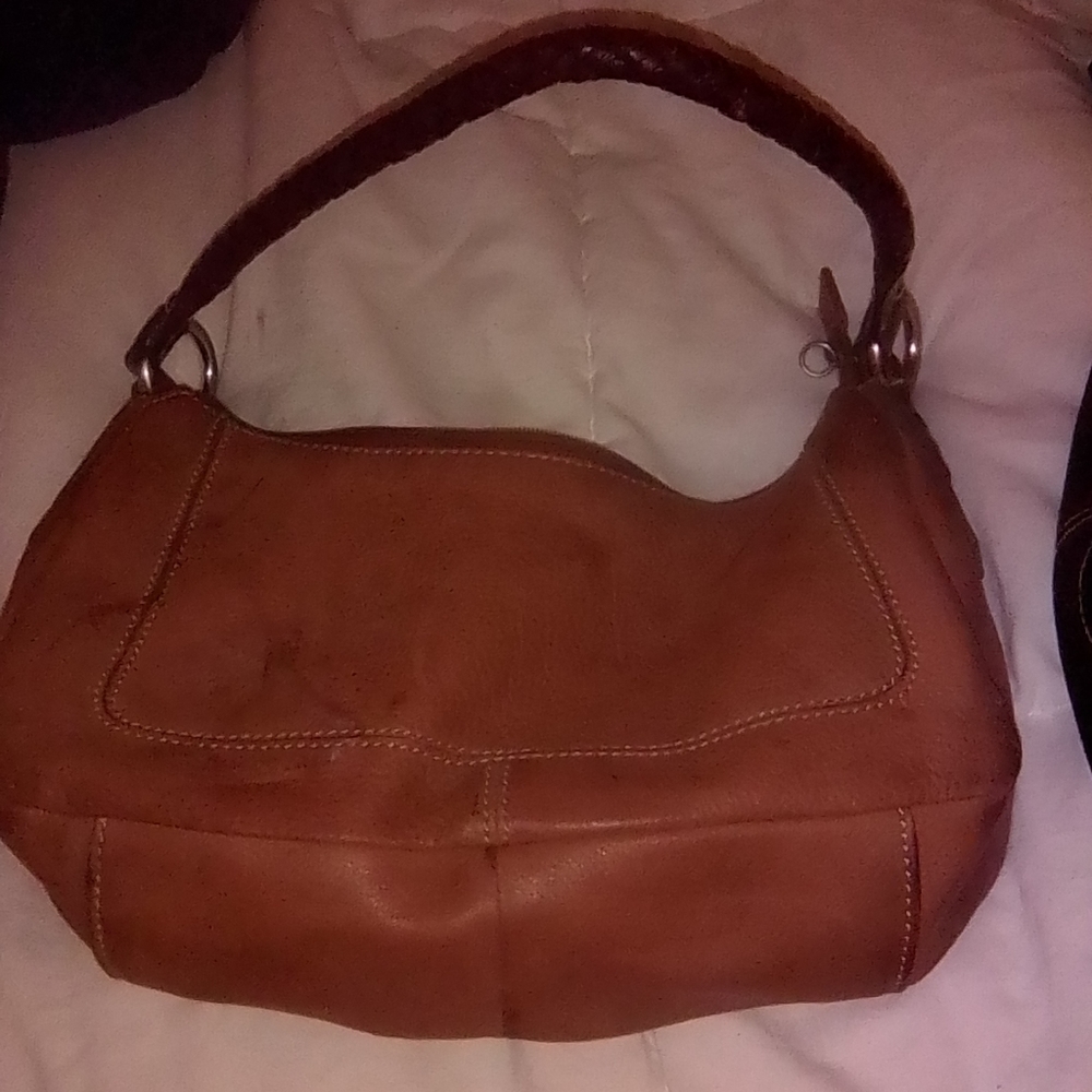 Small fossil purse